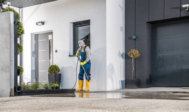 Best Soft Washing  in Braham, MN